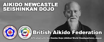 Image result for Newcastle Aikido Club