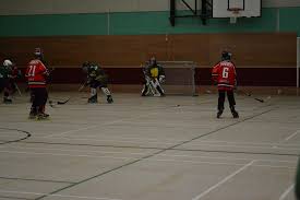 Image result for Horley Hockey Club