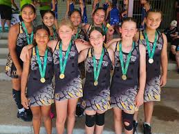 Image result for Civil Service (Ipswich) Netball Club