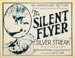 Image result for Thames Valley Silent Flyers