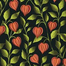 Attēlu rezultāti vaicājumam “Physalis alkekengi”