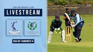 Image result for Carlton Cricket Club