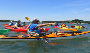 Image result for Poole Harbour Canoe Club