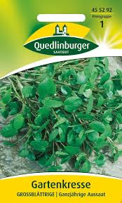 Image result for Gartenkresse