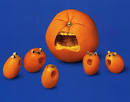 food artwork