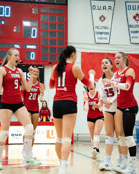 Image result for York University Volleyball Club