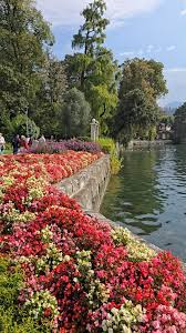 Image result for "Parco Ciani"