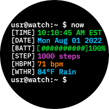 Image result for Linux watch