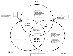Attēlu rezultāti vaicājumam “Collaria arcyrionema spores”