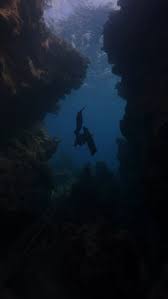 Image result for Notanx Freedive Club
