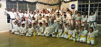 Image result for GoJu-Kai Karate Club