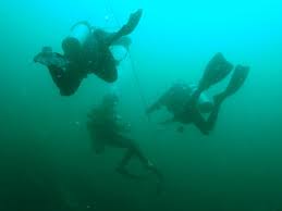 Image result for Deep Blue Diving