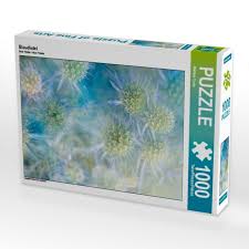 Image result for Blaudistel