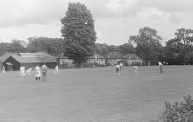 Image result for Woodmansterne Cricket Club