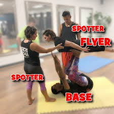 Image result for Elements Acro