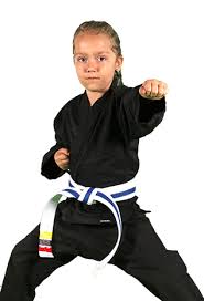 Image result for Elite Force Martial Arts Fort Lauderdale
