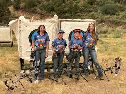 Image result for Field Archery at SWAC
