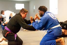 Image result for Heanor Ju-Jitsu Club