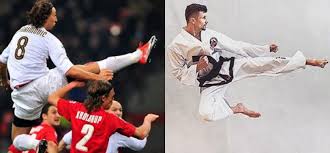 Image result for Swansea Taekwondo Club