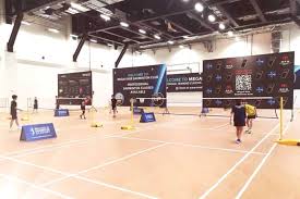 Image result for Michael Drayton Badminton Club