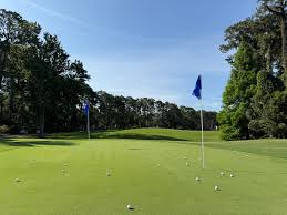 Image result for Dolphina Gc