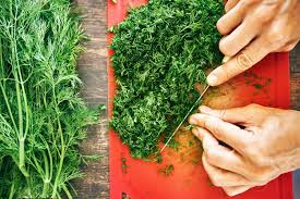 Image result for Dill