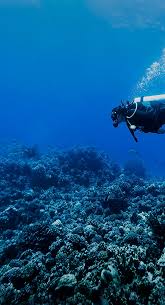 Image result for Underwater Adventures