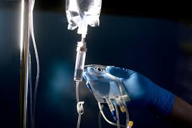 Image result for Muhammad als Rondellhund