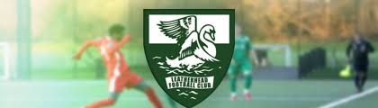 Image result for Leatherhead Football Club