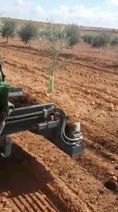 Image result for agrobellon tehron