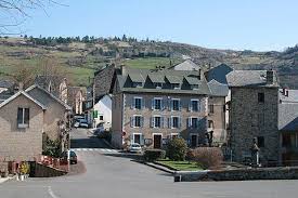 Image result for saint nectaire