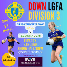 Image result for St Patrick`s Gac, Saul