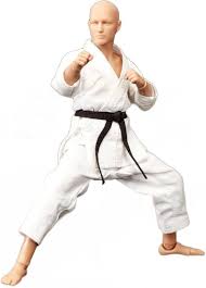 Image result for Action Karate