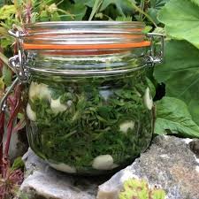 Attēlu rezultāti vaicājumam “Honckenya peploides fruit”