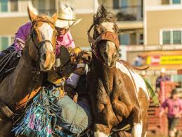 Image result for Civil Service Riding Club (Csrc)