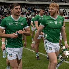 Image result for University Of Limerick Gaa Hurling Club