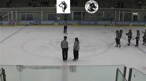 Image result for Haringey Greyhounds Ice Hockey Club
