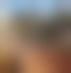 Image result for site:chan4chan.com