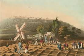 Image result for Drax Cc