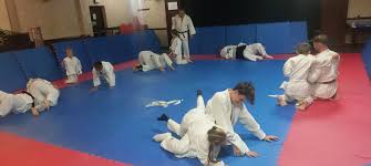 Image result for Rainham Judo Club