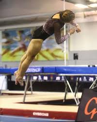 Image result for Arabian School Of Gymnastics, Milton Keynes