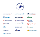 About SkyTeam