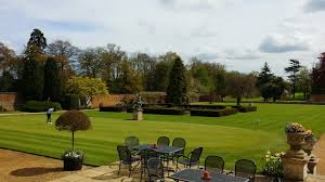 Image result for Wellingborough Rfc