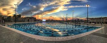 Image result for Derby Phoenix Swimming Club