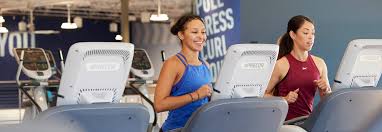 Image result for Inshape Fitness