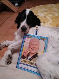 「シゲさん」の画像検索結果