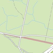 Attēlu rezultāti vaicājumam “Serpoleskea subtilis”