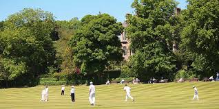 Image result for Carlton Cricket Club