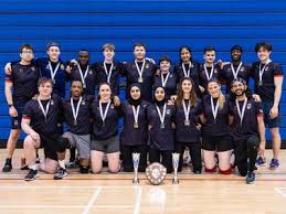 Image result for York University Dodgeball Club
