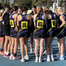 Image result for Arithesa Netball Club